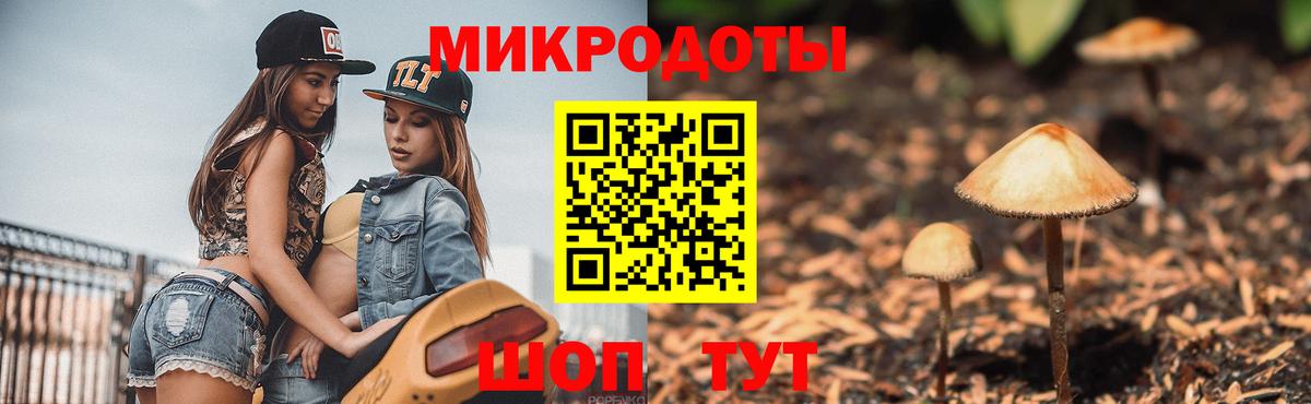 сколько стоит  Вход с VPN  Чехов  Псилоцибиновые грибы MAGIC MUSHROOMS 